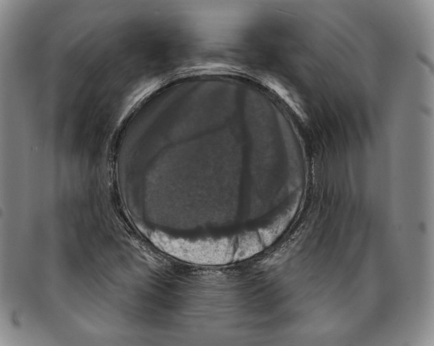 X0000094381405200711301350