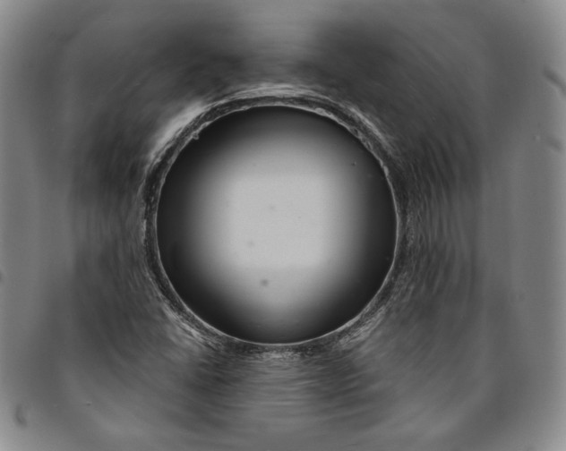 X0000094381406200711301350