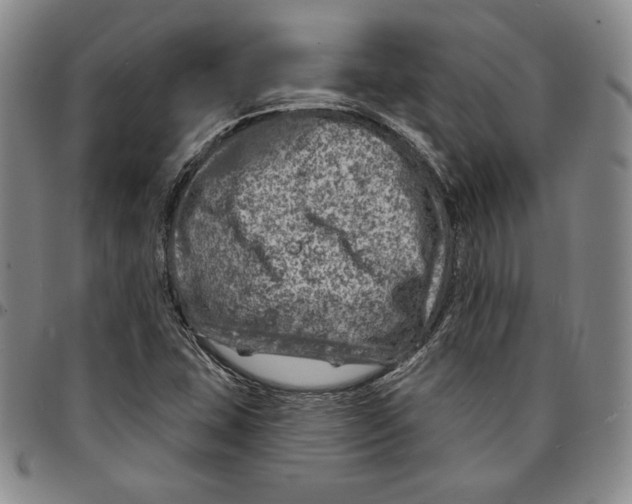 X0000094381407200711301350