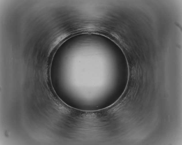 X0000094381410200711301350