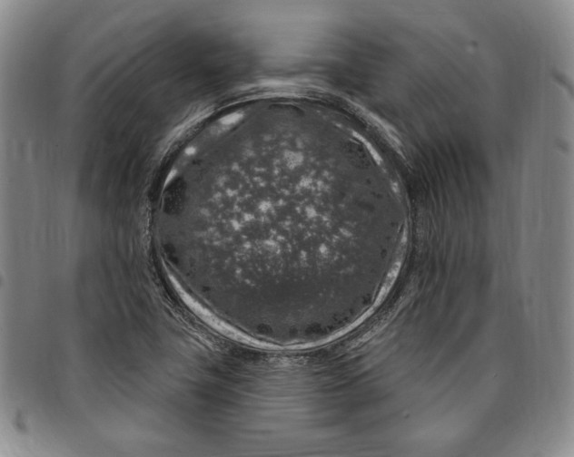 X0000094381411200711301350
