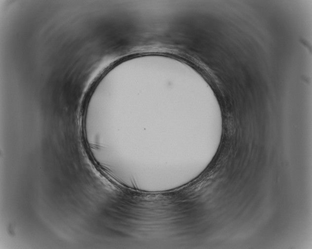 X0000094381416200711301350