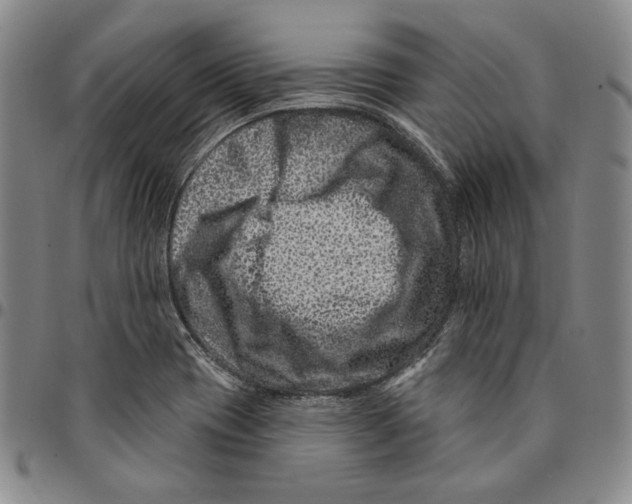 X0000094381417200711301350