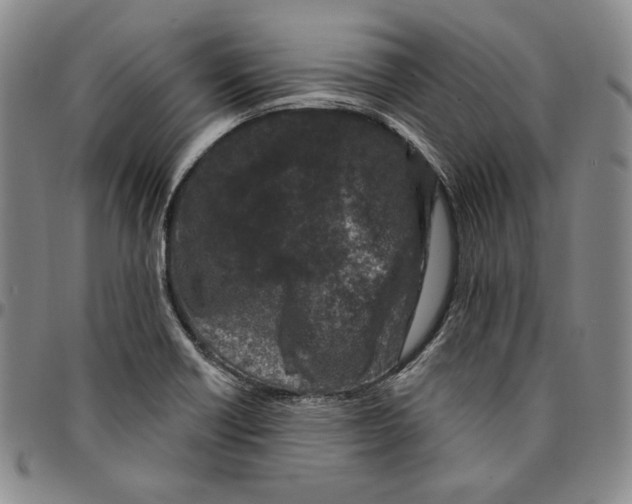 X0000094381418200711301350