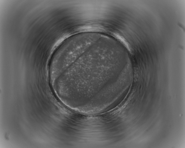 X0000094381419200711301350