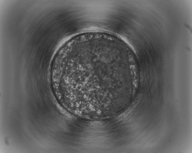 X0000094381421200711301350
