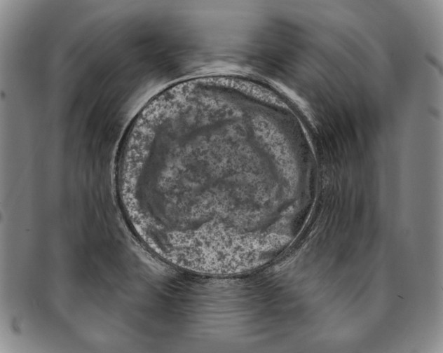 X0000094381423200711301350