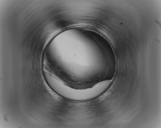 X0000094381426200711301350