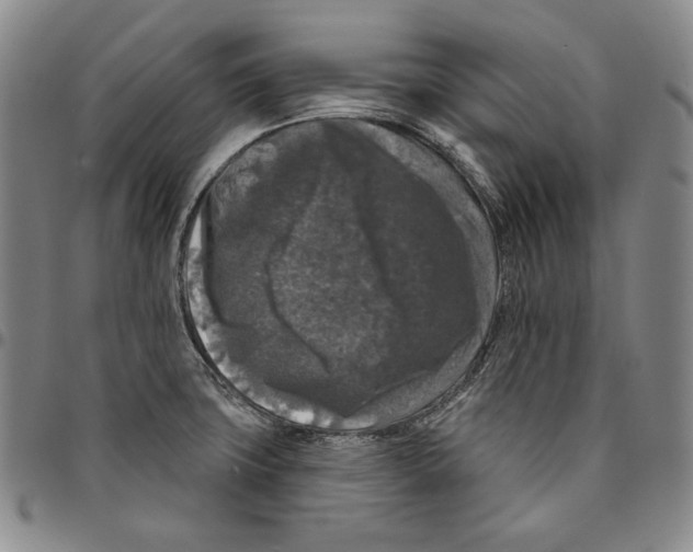 X0000094381427200711301350