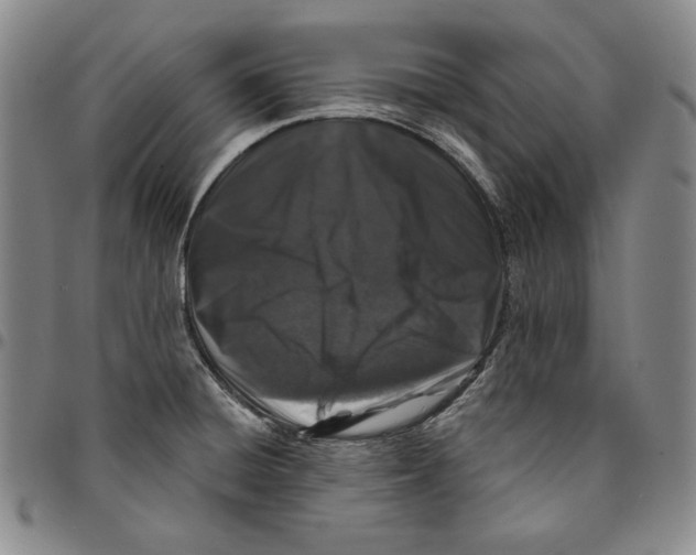 X0000094381428200711301350