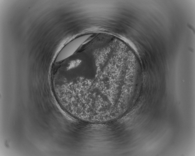 X0000094381429200711301350