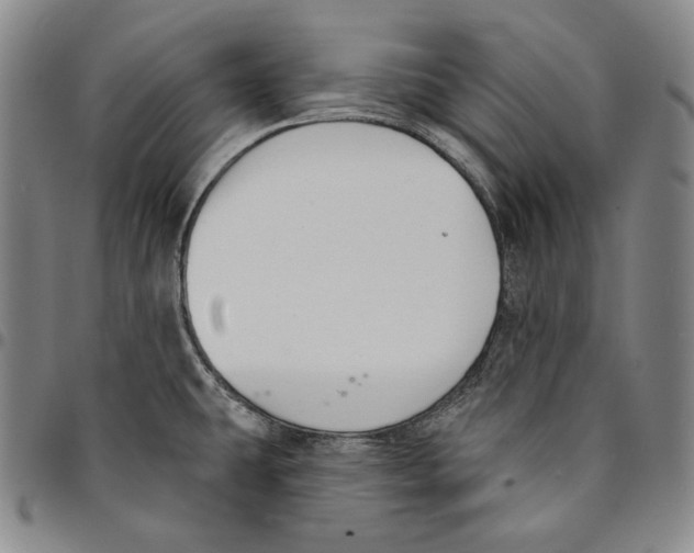 X0000094381431200711301350
