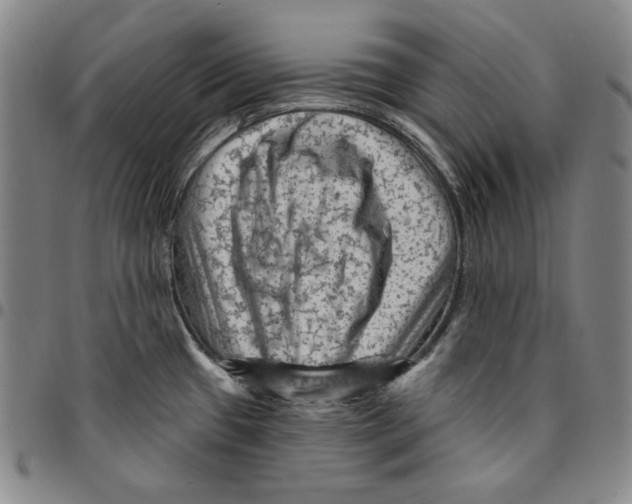 X0000094381433200711301350
