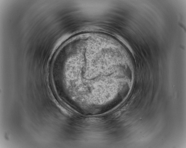 X0000094381437200711301350