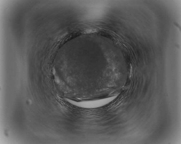 X0000094381441200711301350