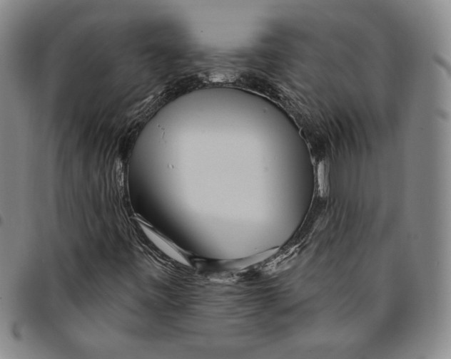 X0000094381443200711301350