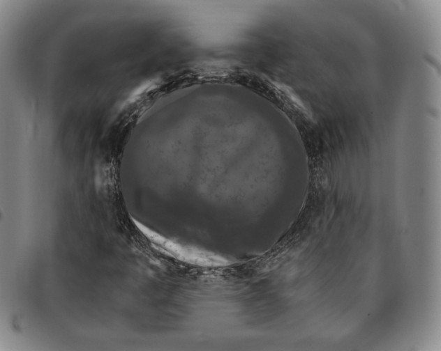 X0000094381445200711301350