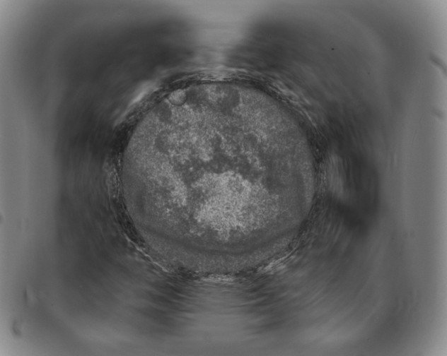 X0000094381446200711301349