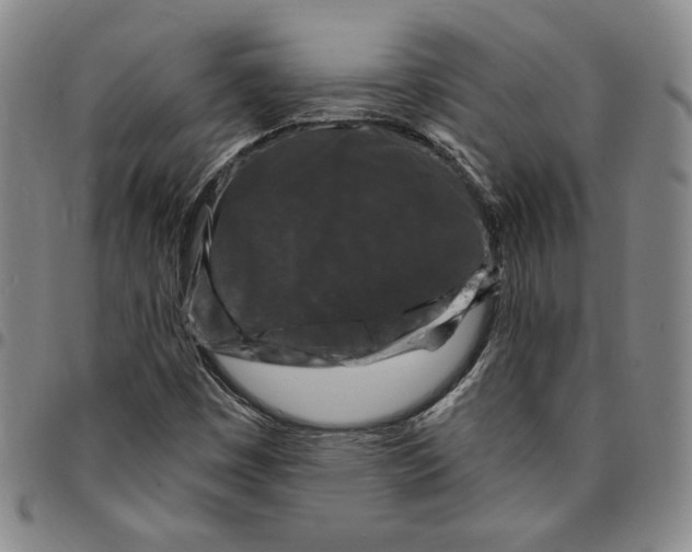 X0000094381449200711301349