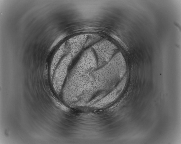 X0000094381450200711301349