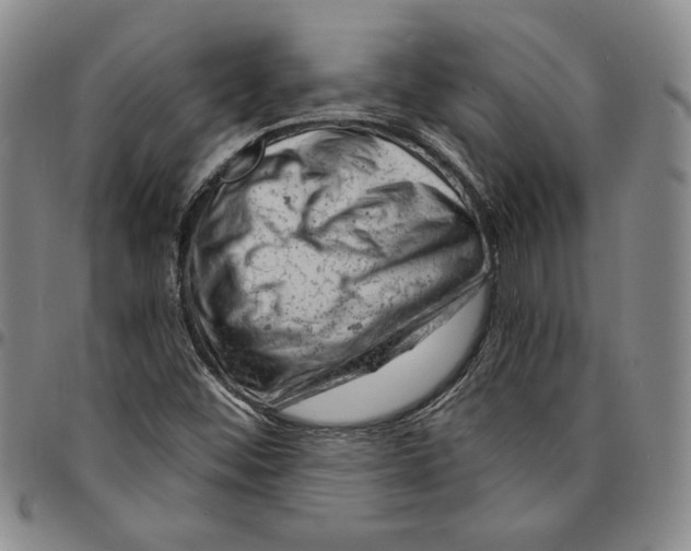 X0000094381452200711301349
