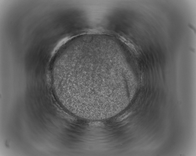 X0000094381454200711301349