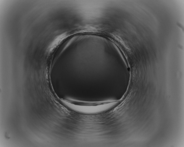 X0000094381455200711301349