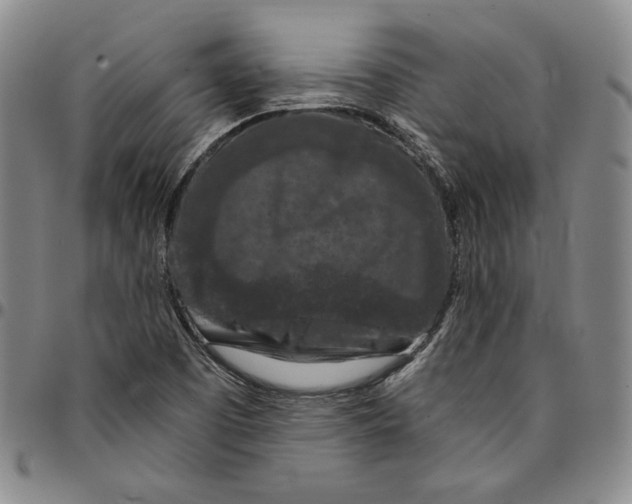 X0000094381457200711301349