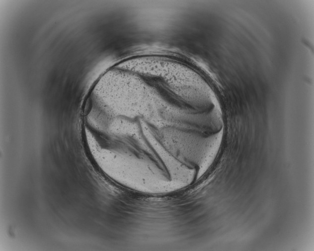 X0000094381463200711301349