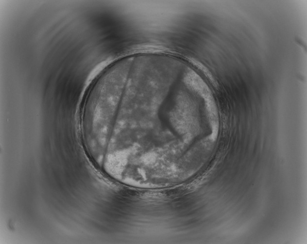 X0000094381466200711301349