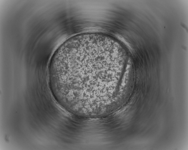 X0000094381467200711301349