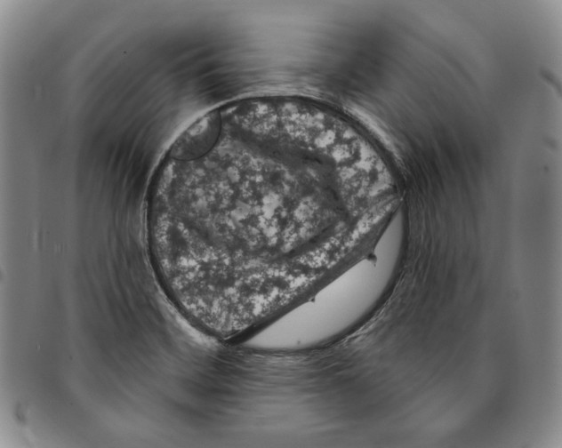 X0000094381468200711301349