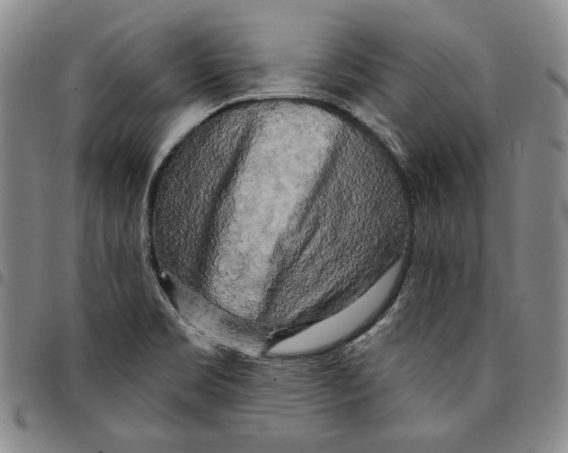 X0000094381469200711301349