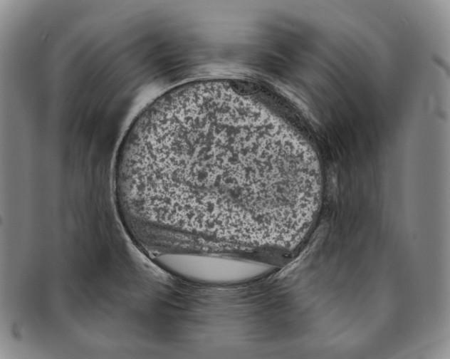 X0000094381471200711301349