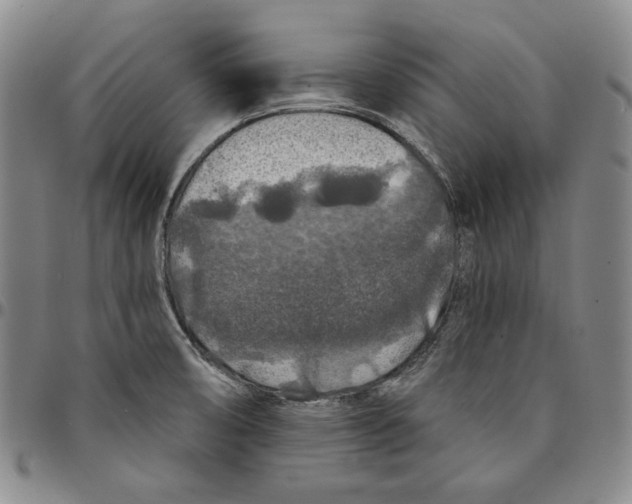 X0000094381474200711301349