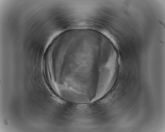 X0000094381477200711301349