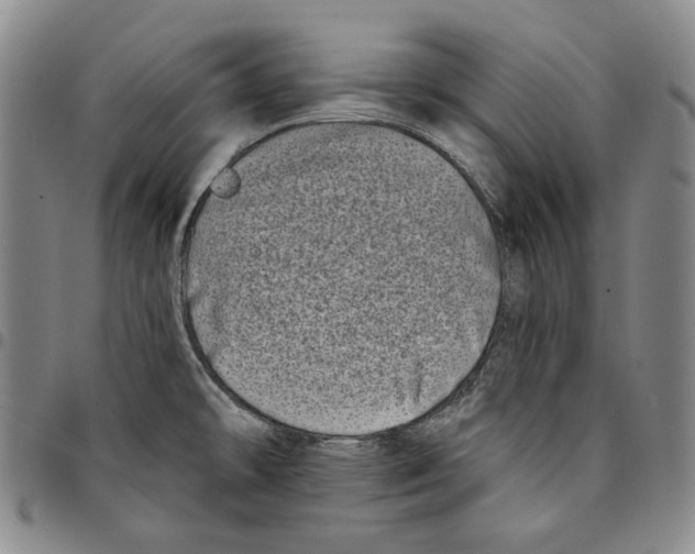 X0000094381478200711301349