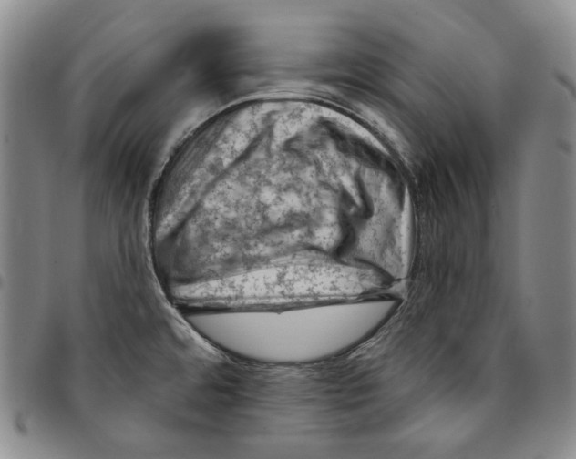 X0000094381480200711301349