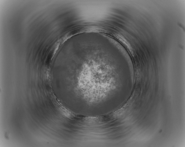 X0000094381481200711301349