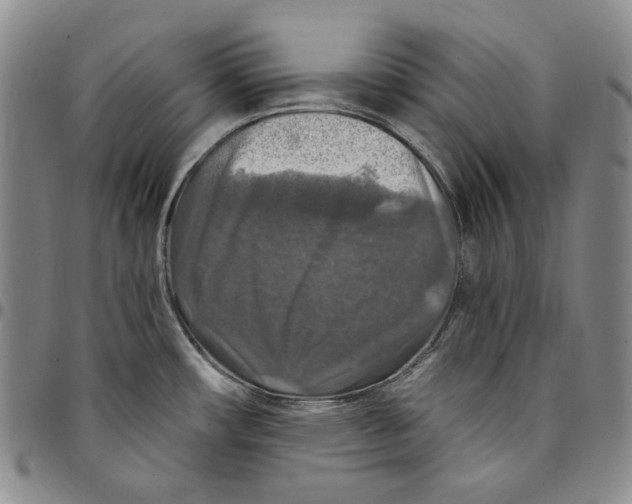 X0000094381482200711301349
