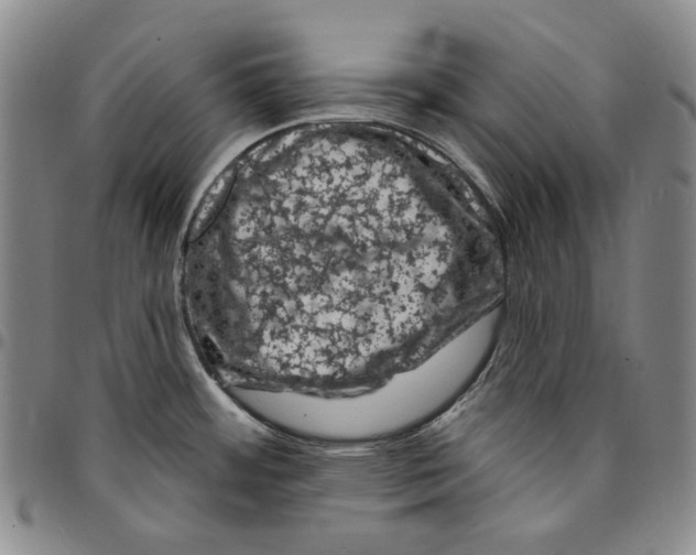 X0000094381484200711301349