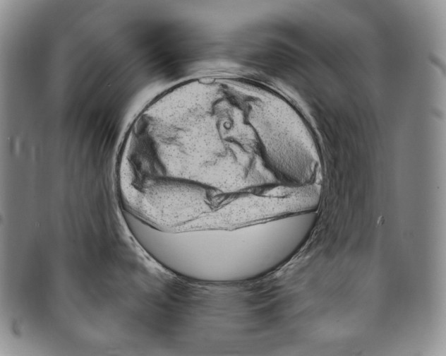 X0000094381488200711301349