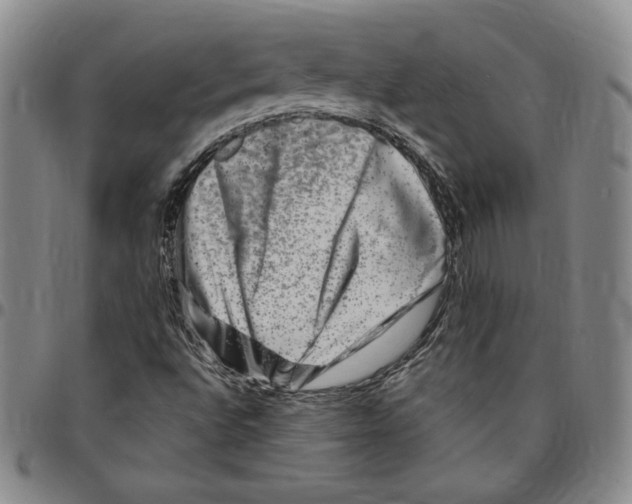X0000094381496200711301348