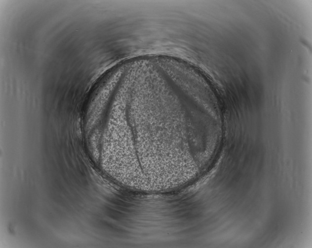 X0000094381497200711301348