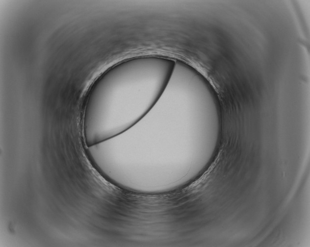 X0000094381500200711301348