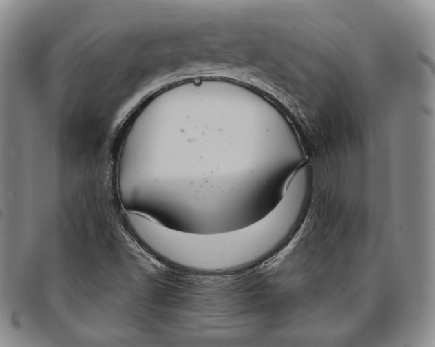 X0000094381502200711301348