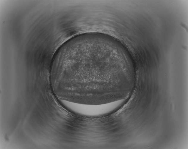 X0000094381505200711301348