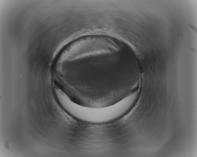 X0000094381506200711301349