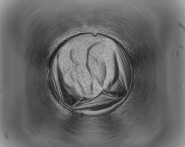 X0000094381507200711301349