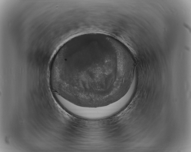 X0000094381508200711301349